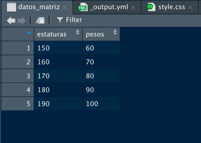 Nuestra primera matriz de datos