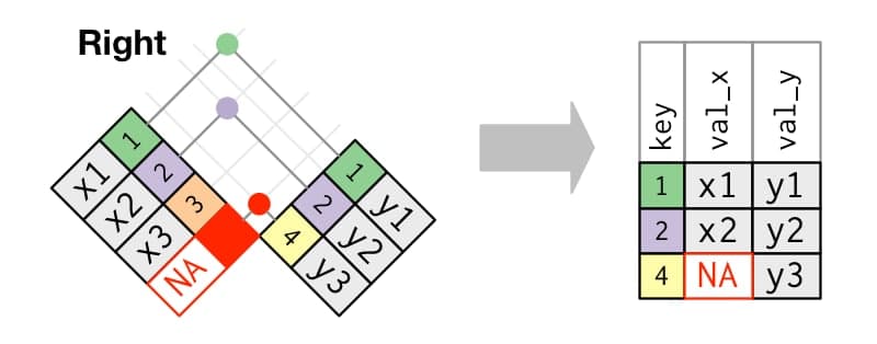 Esquema del right join, extraído de <https://r4ds.had.co.nz/relational-data.html#mutating-joins>